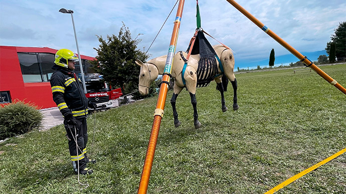Technische Großtierrettung Zweibein Training Pferd Österreich