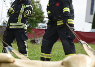 Technische Großtierrettung Rettungsgeschirr Anlegen Feuerwehr Schulung