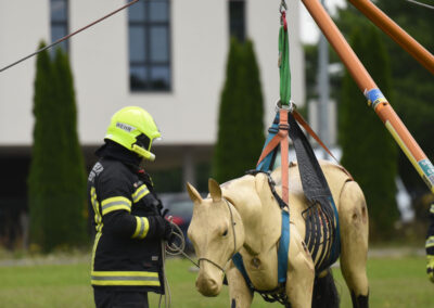 Technische Großtierrettung Dreibein Paratech Feuerwehr Training Scheureder