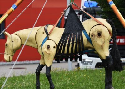 Technische Großtierrettung Pferd Aufrichten Dreibein Feuerwehr Scheureder
