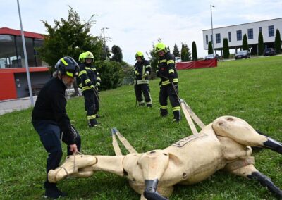 Technische Großtierrettung Pferd Einsatzvorbereitung Feuerwehr Training Österreich